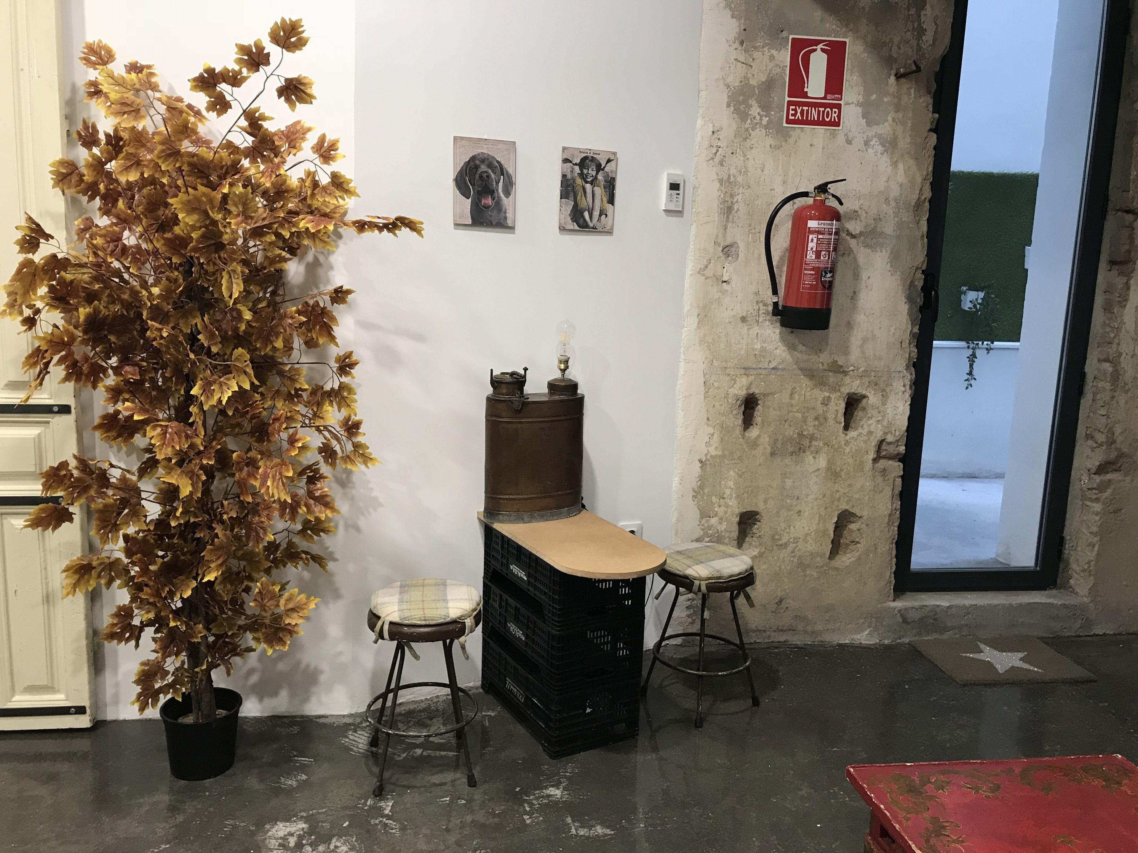 Eco Hostel — Photos 1